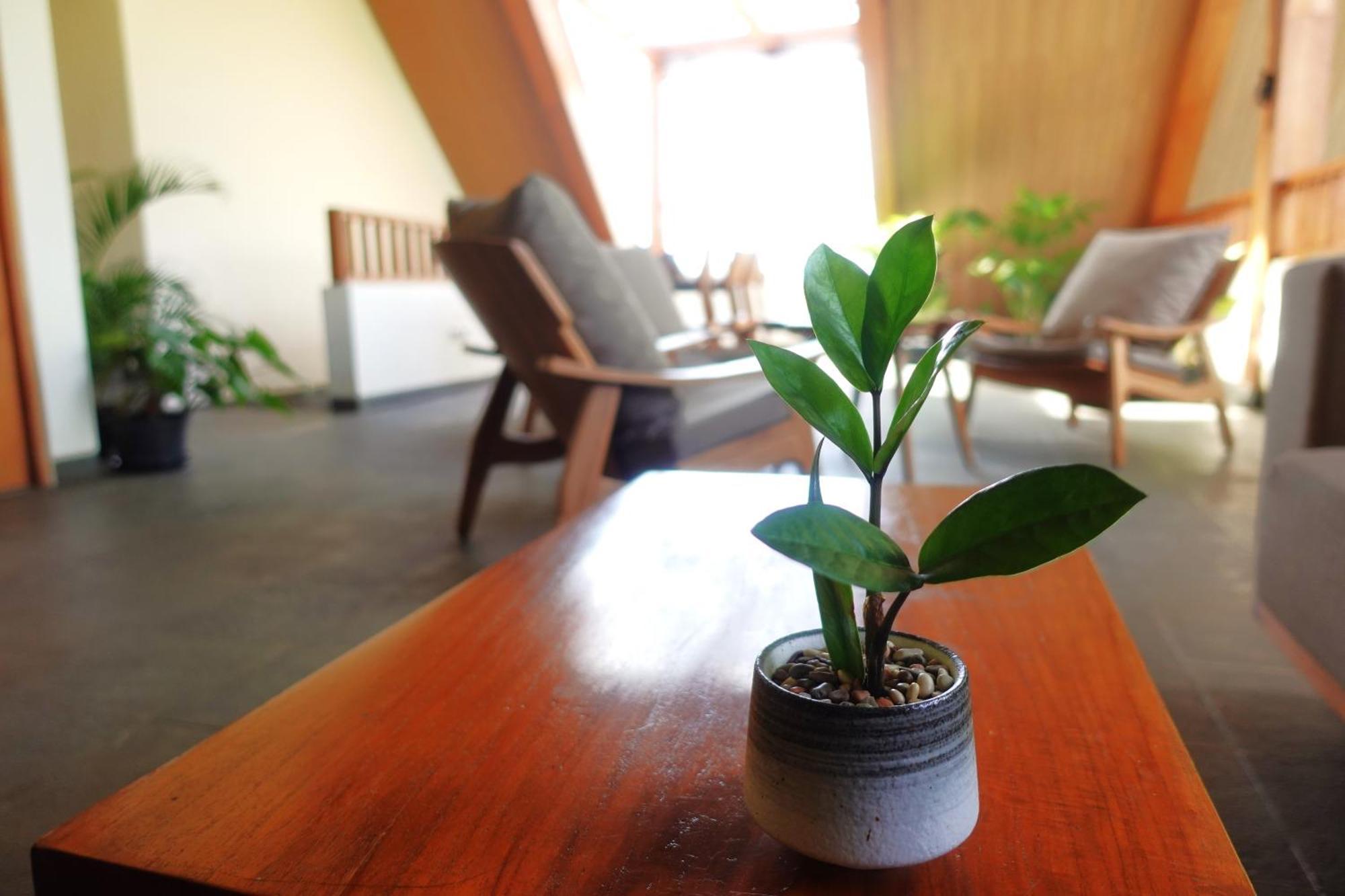 The Vinaya Boutique Hotel Убуд Экстерьер фото